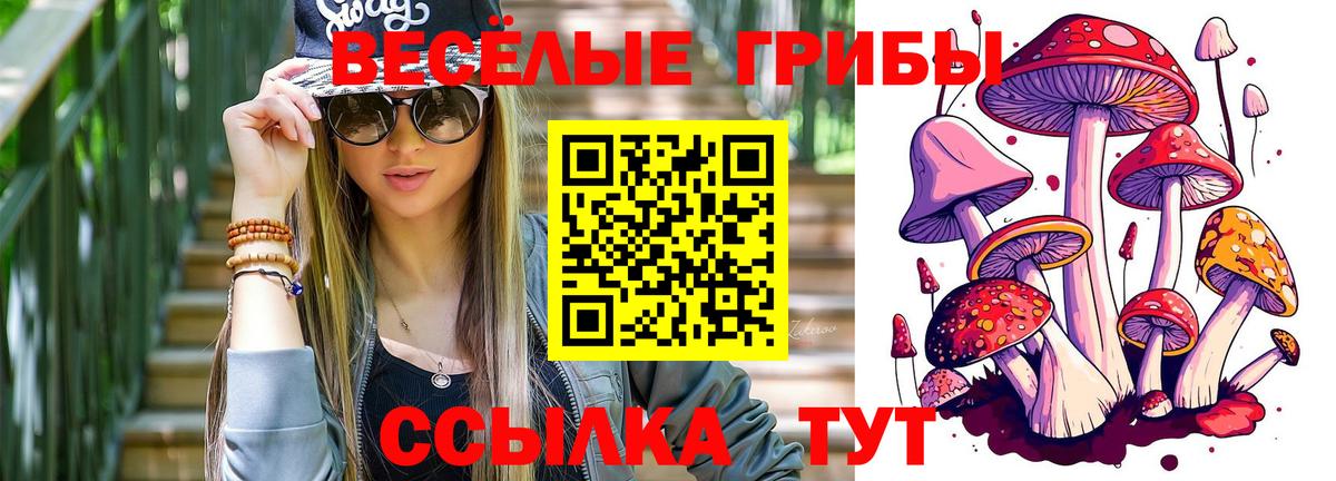 Благодарный  Галлюциногенные грибы ЛСД  Вход с VPN 